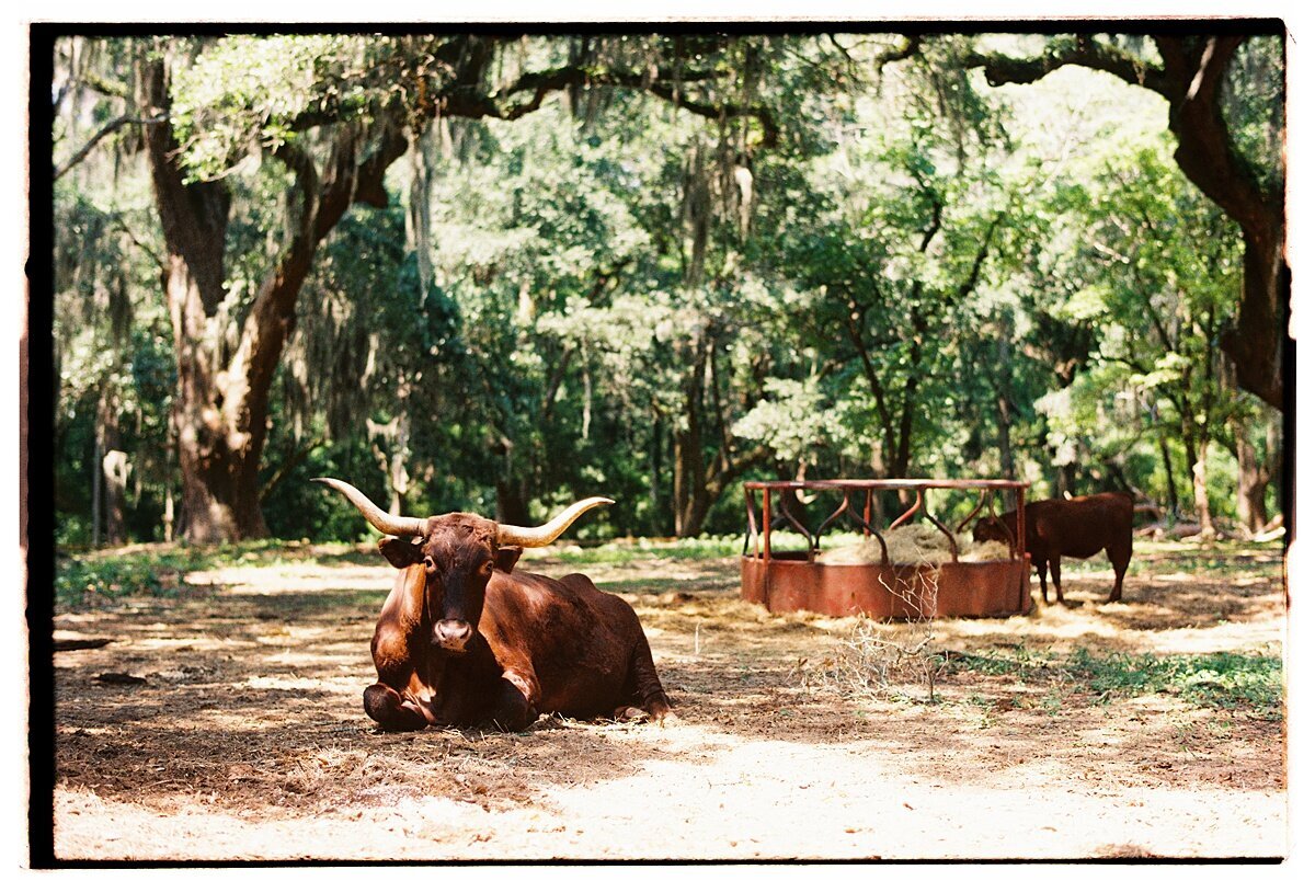 Amber_Watson_Film_Places