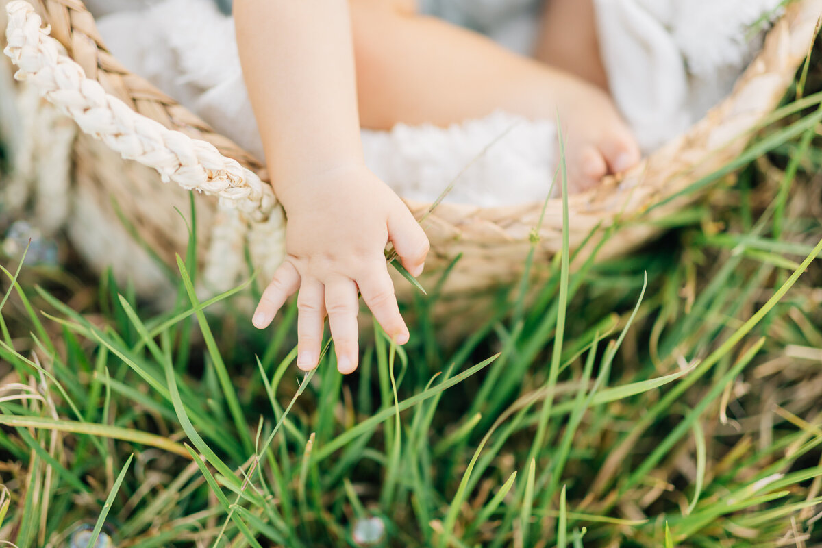 Tiny Fingers in grass at Family Photo Session Columbia TN