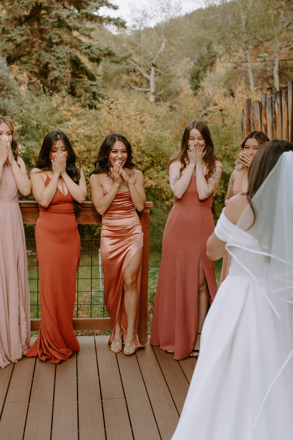 AhnaMariaPhotography_Wedding_Colorado_Daphne&Cy-24