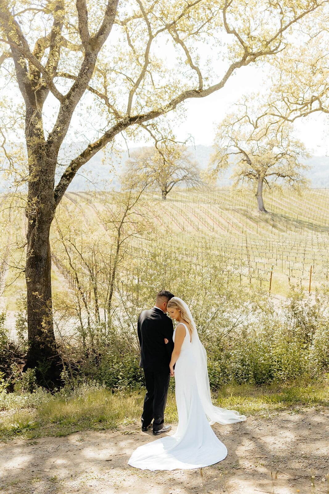 vineyard-tree-couple