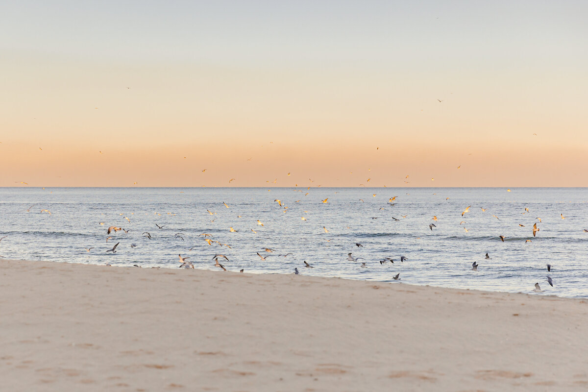 Long Branch Proposal-20