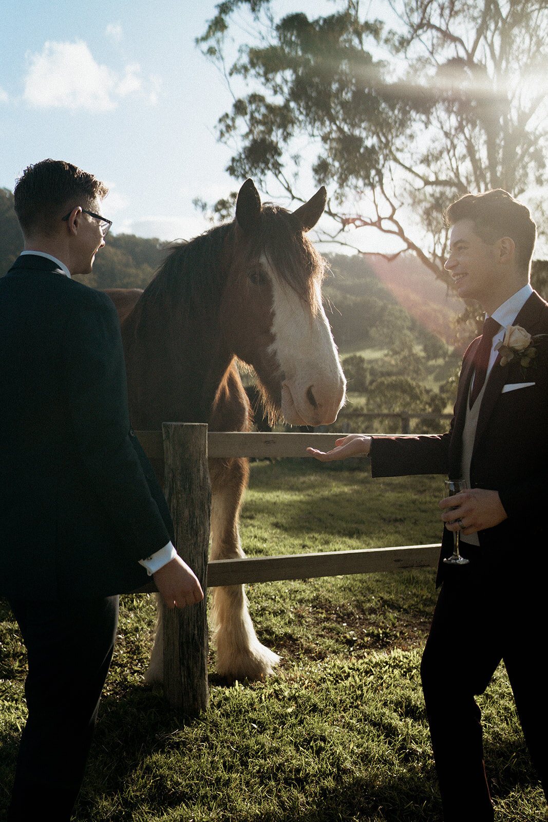 Cowbell Creek Wedding Photographer0559_websize