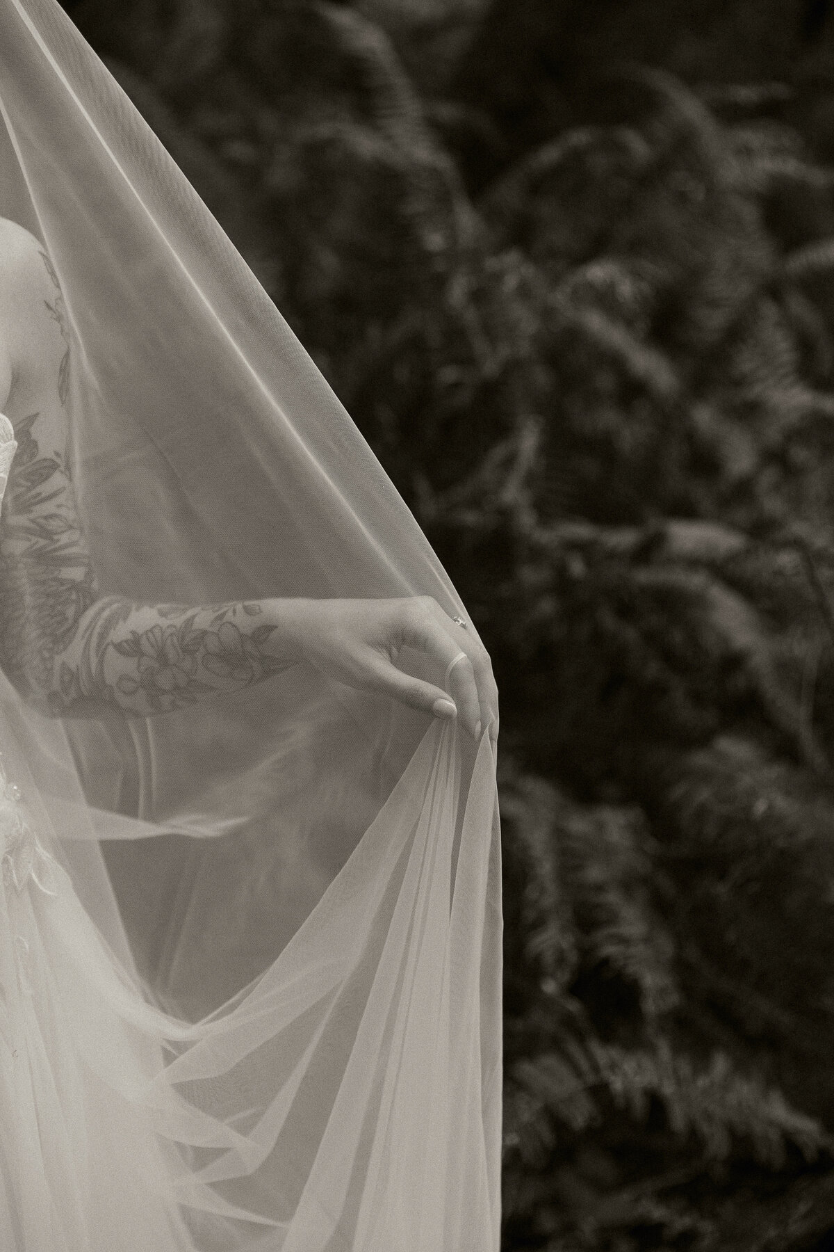 AbbyReePhotography-RedwoodsElopement-36