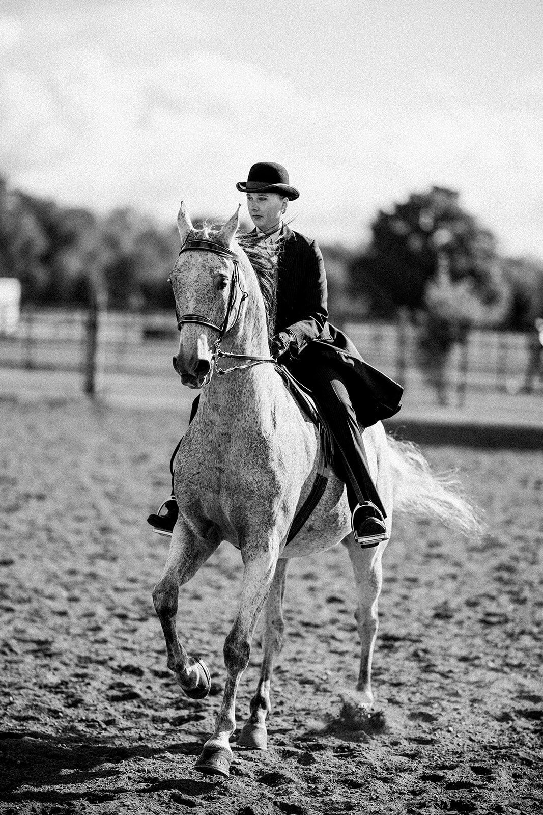 Equestrian Photography408