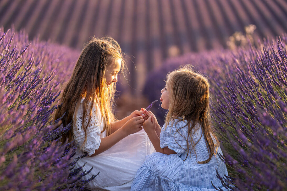 shooting-lavande-provence-couple-famille70