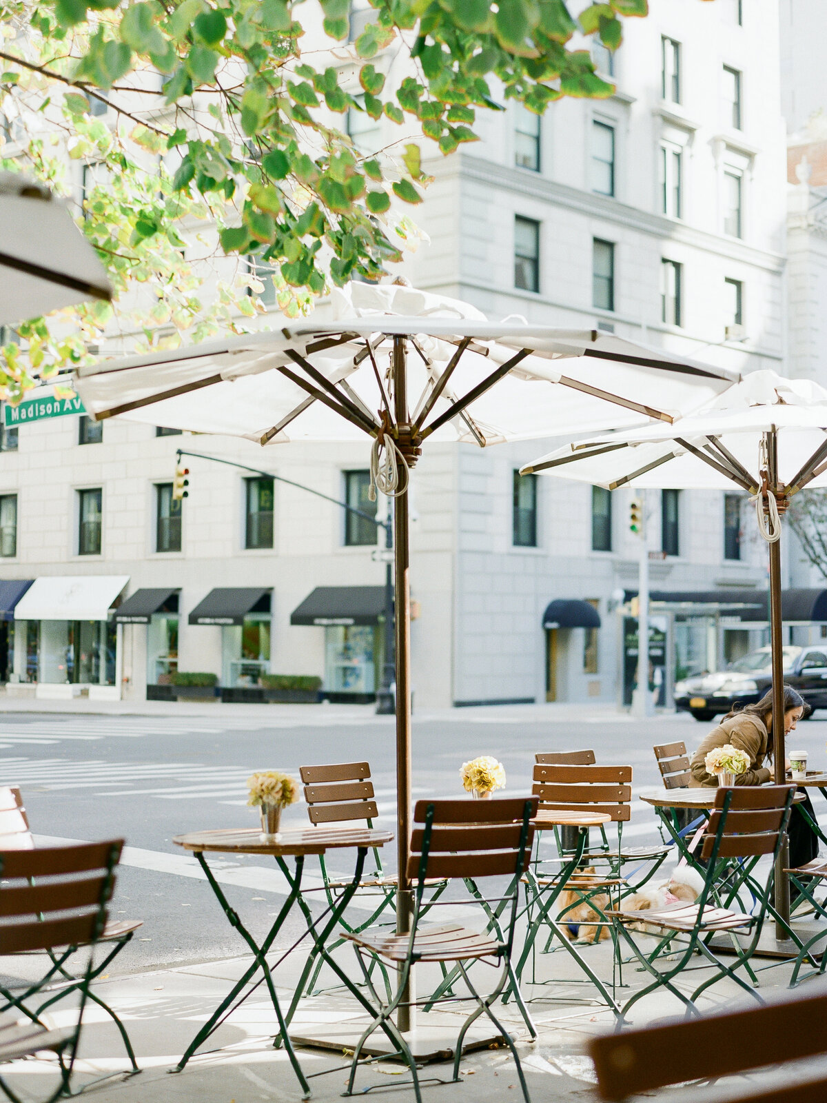 Bethesda-Terrace-Engagement-Photos-8