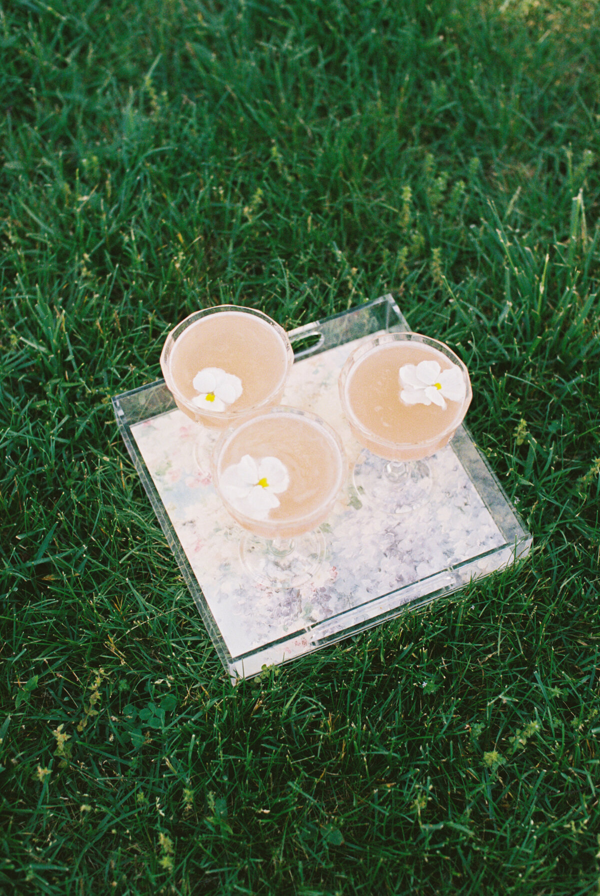 Gracin_Tom_Wedding_Marblegate_Abigail_Malone_Photography-1775