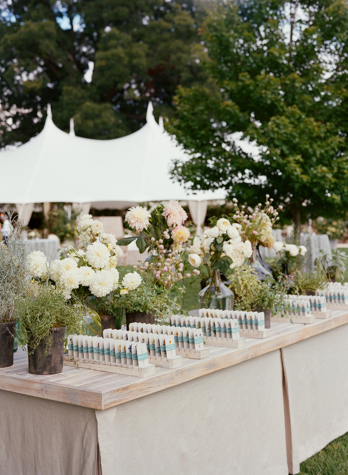 Easton-Maryland-Tented-Wedding-Planner0735