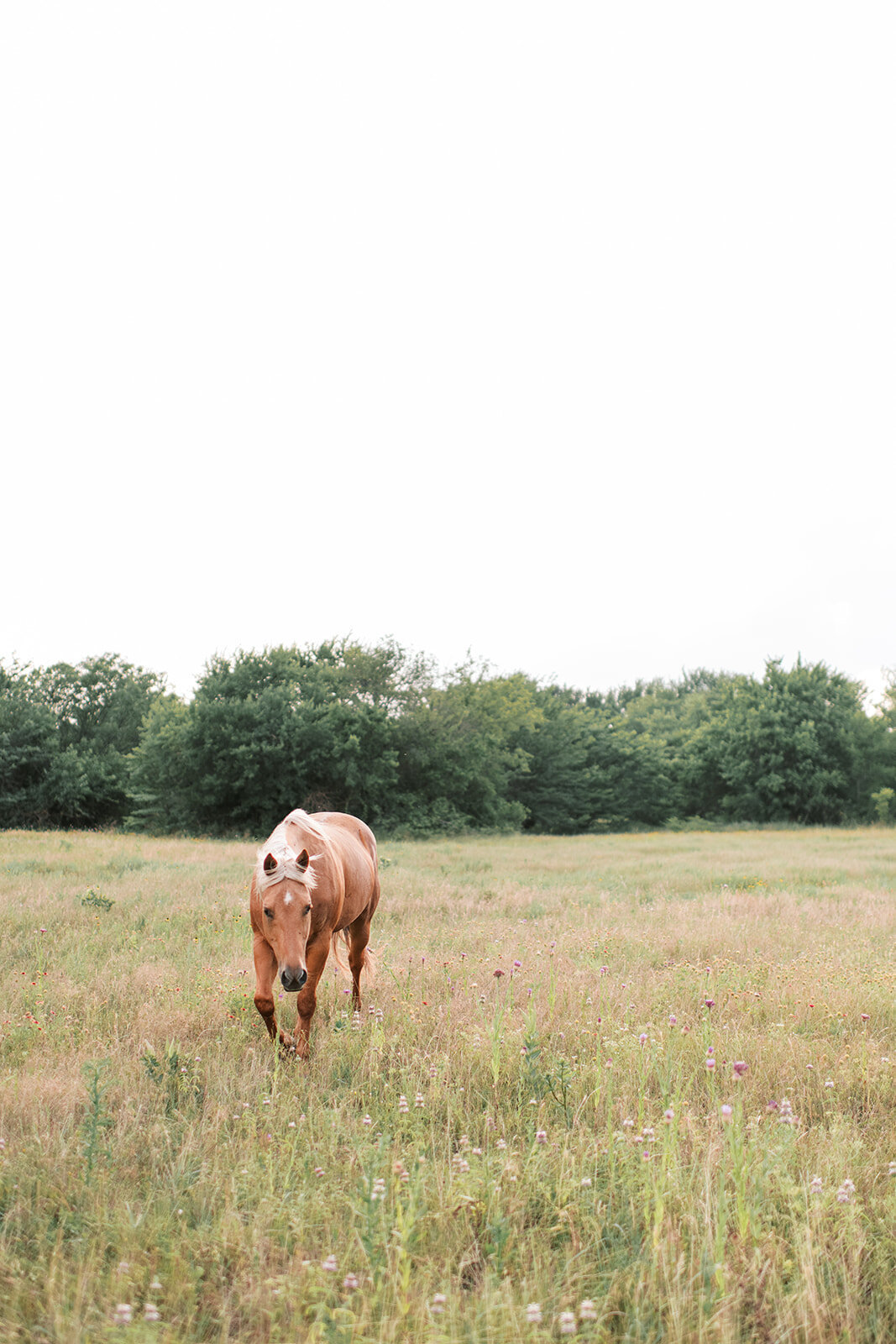 Meghan + Jackson Rowell - The Nest at Ruth Farms - Stephanie Michelle Photography - Dallas Wedding Photographer - Bride + Groom-58