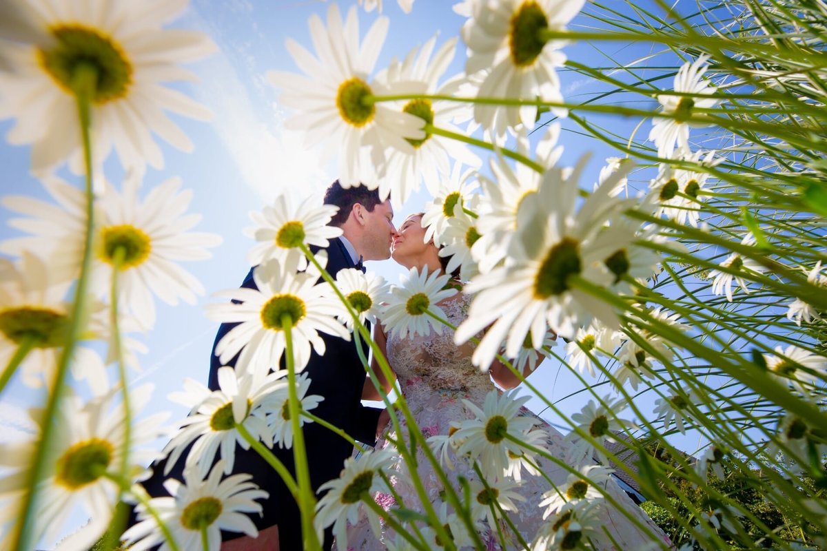 Bride and groom kissing in field of white daisies