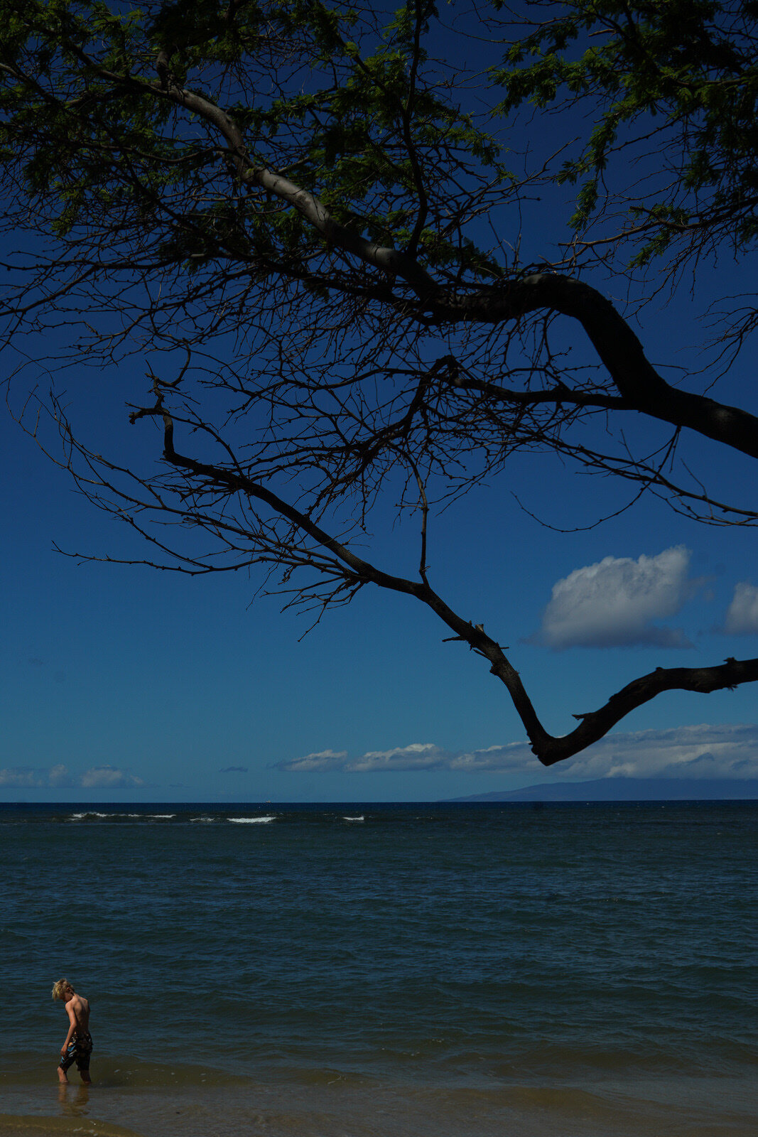 world's-best-vacation-kirsten-lewis-maui-hawaii2015
