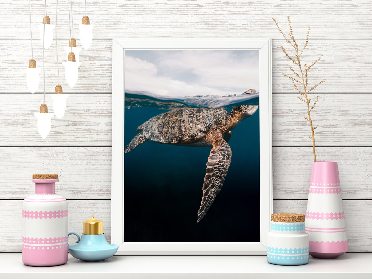 sealife_04a