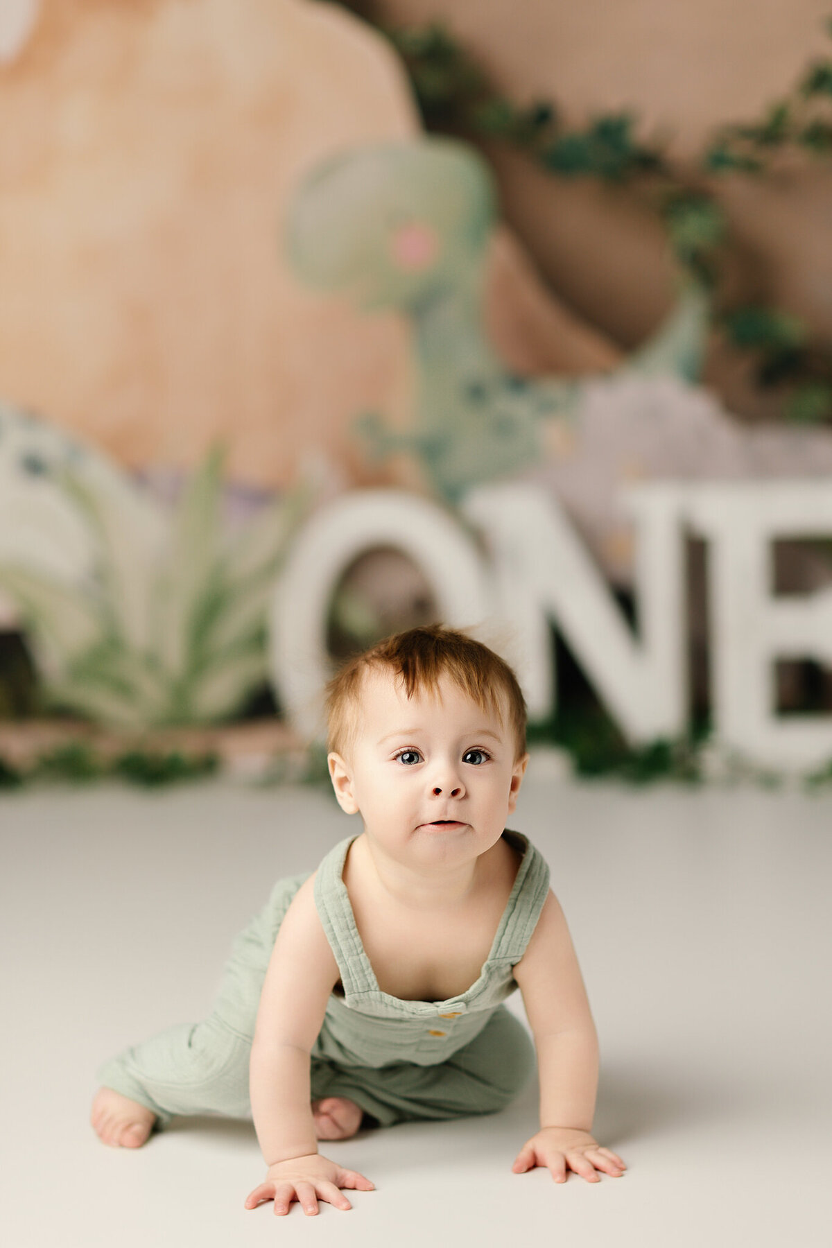 NWA cake smash photographer, milestone portrait session, baby birthday photoshoot Northwest Arkansas, best cake smash photography near me Fayetteville AR