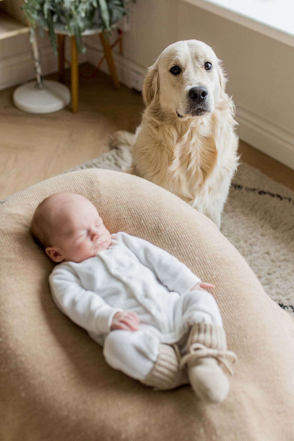 Jasmijn Brussé Fotografie - newbornshoot-65