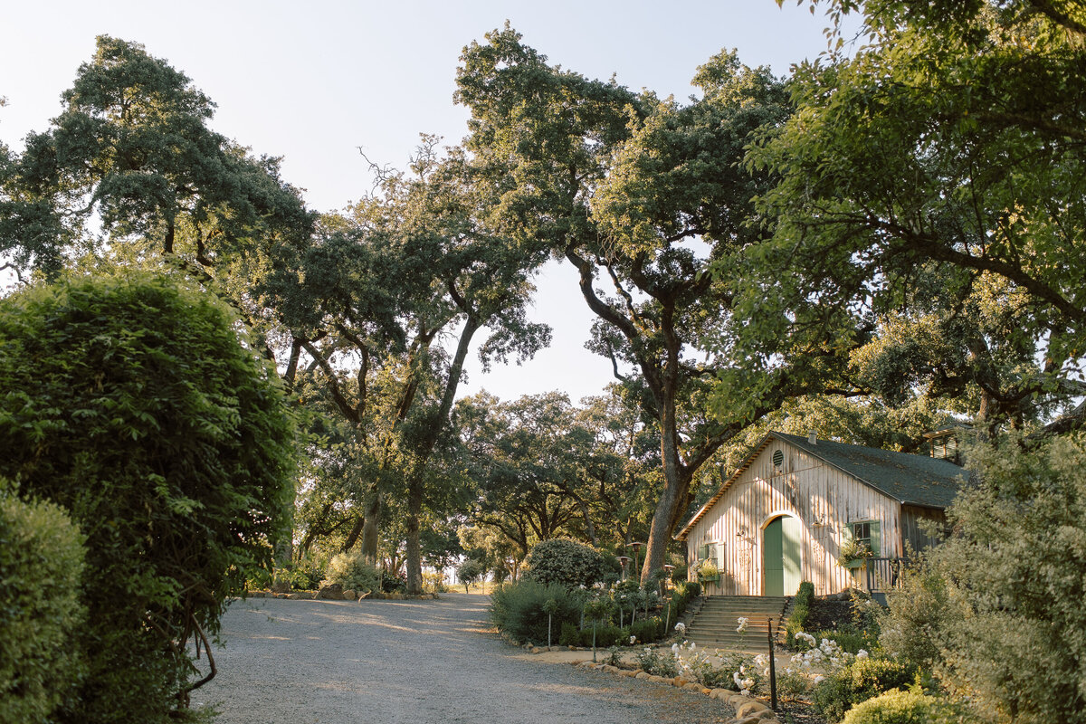 0632wedding_photo_gretchen_gause_annadel_estate_winery