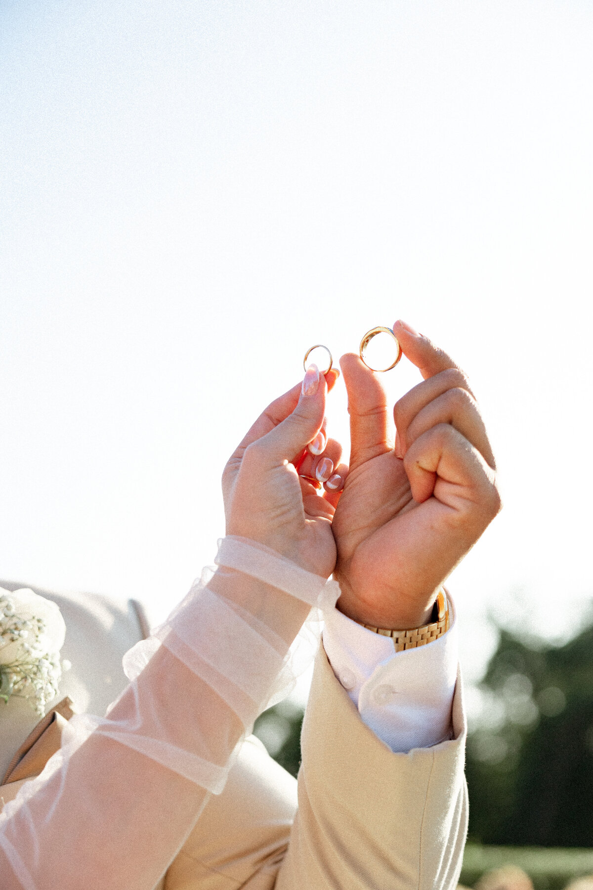 Avalonphotoco-0813