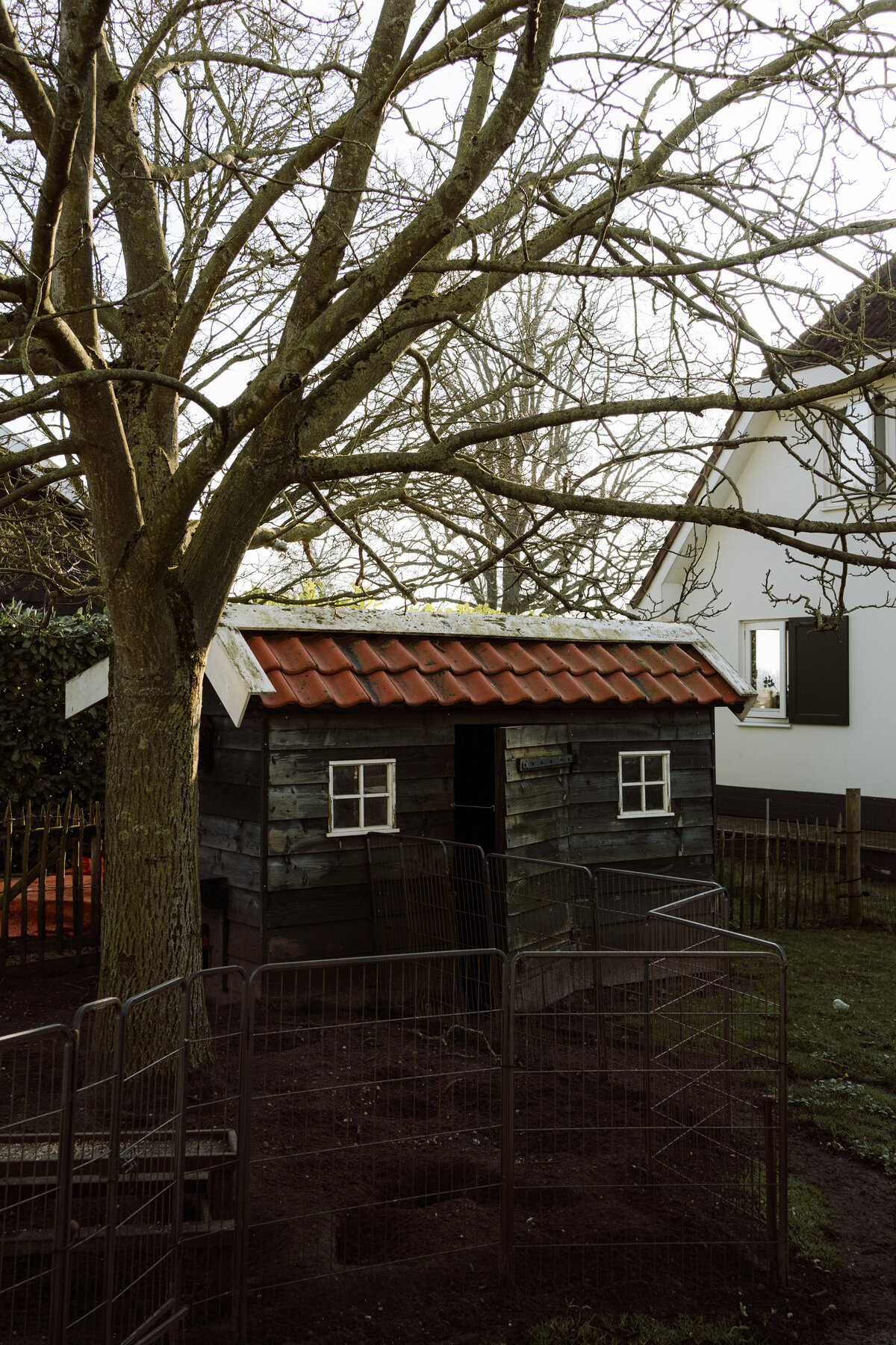 kippenhok