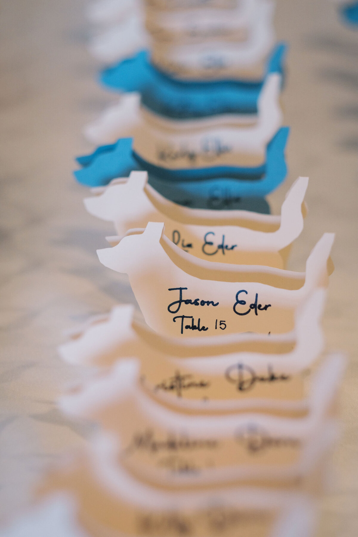 Best_Wedding_Photographer_Chicago_Illinois224