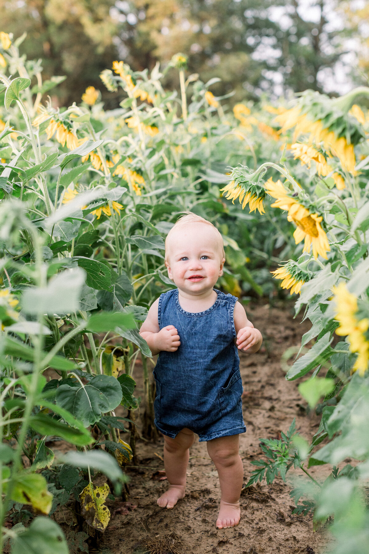 dc family photographer