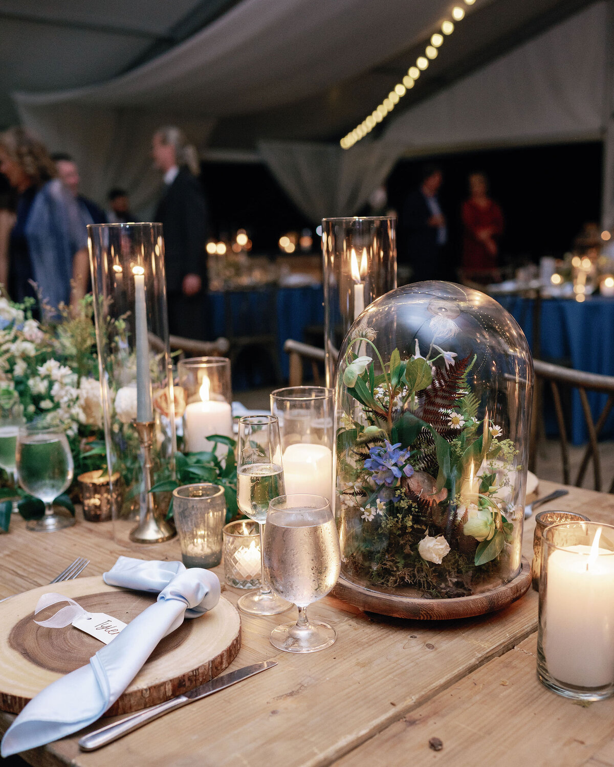 Wedding At Runnymede Plantation, Charleston, SC