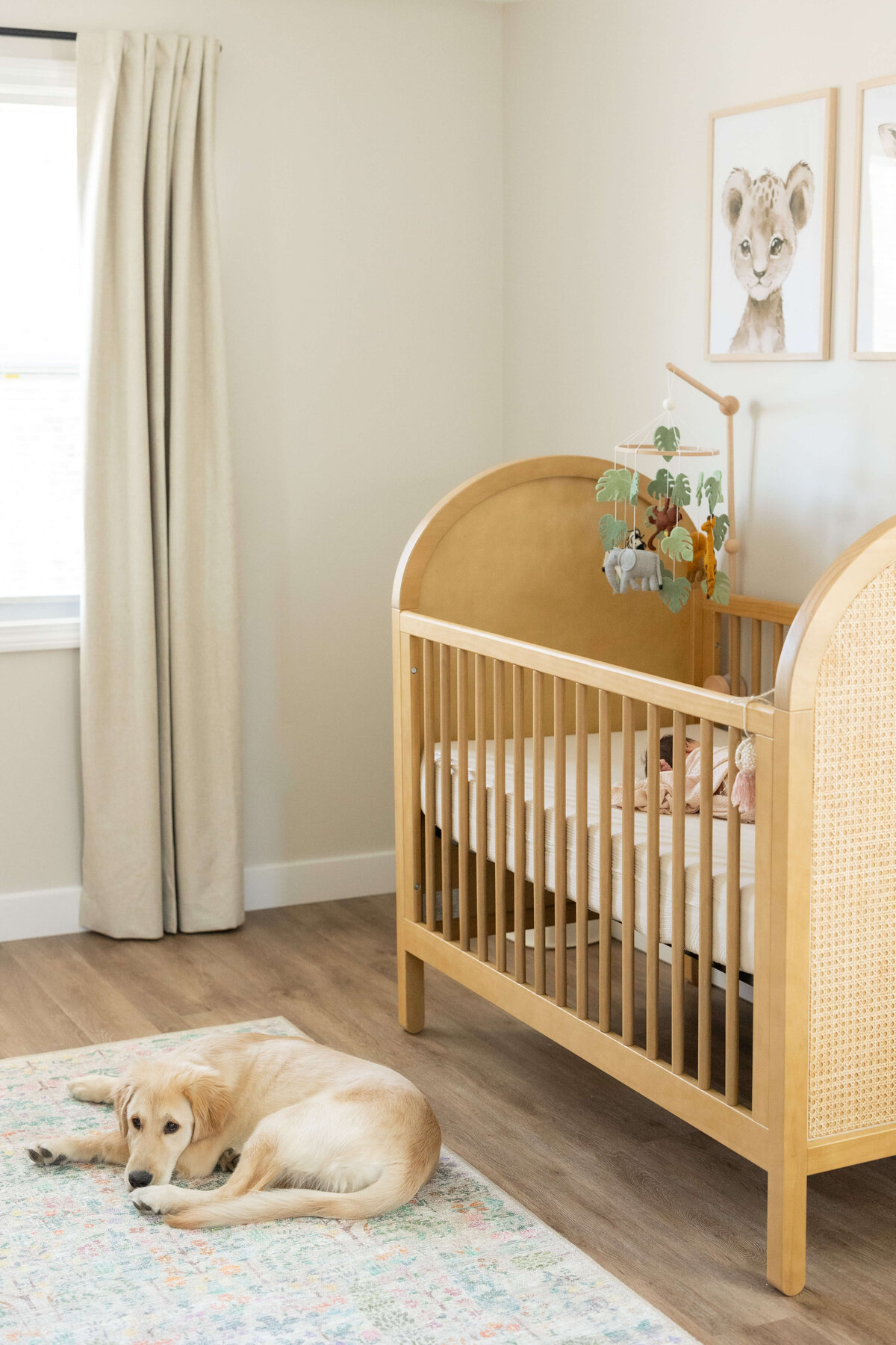 BabyCameron-212