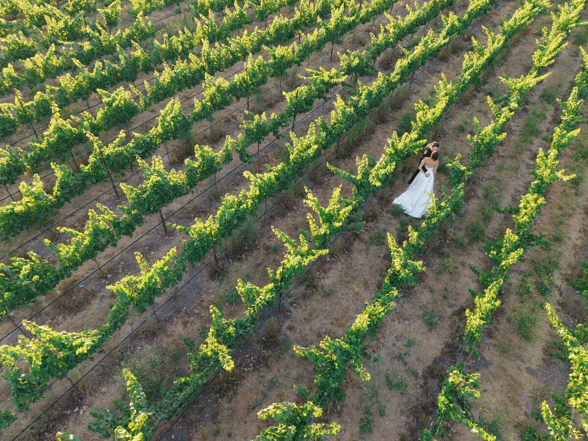 Lizzie Baker Photography _ Tori & Kevin Wedding _ 6.28.2025 _ California Wedding Photographer _ Sonoma Wedding Photographer _ California Winery Wedding Photographer-479