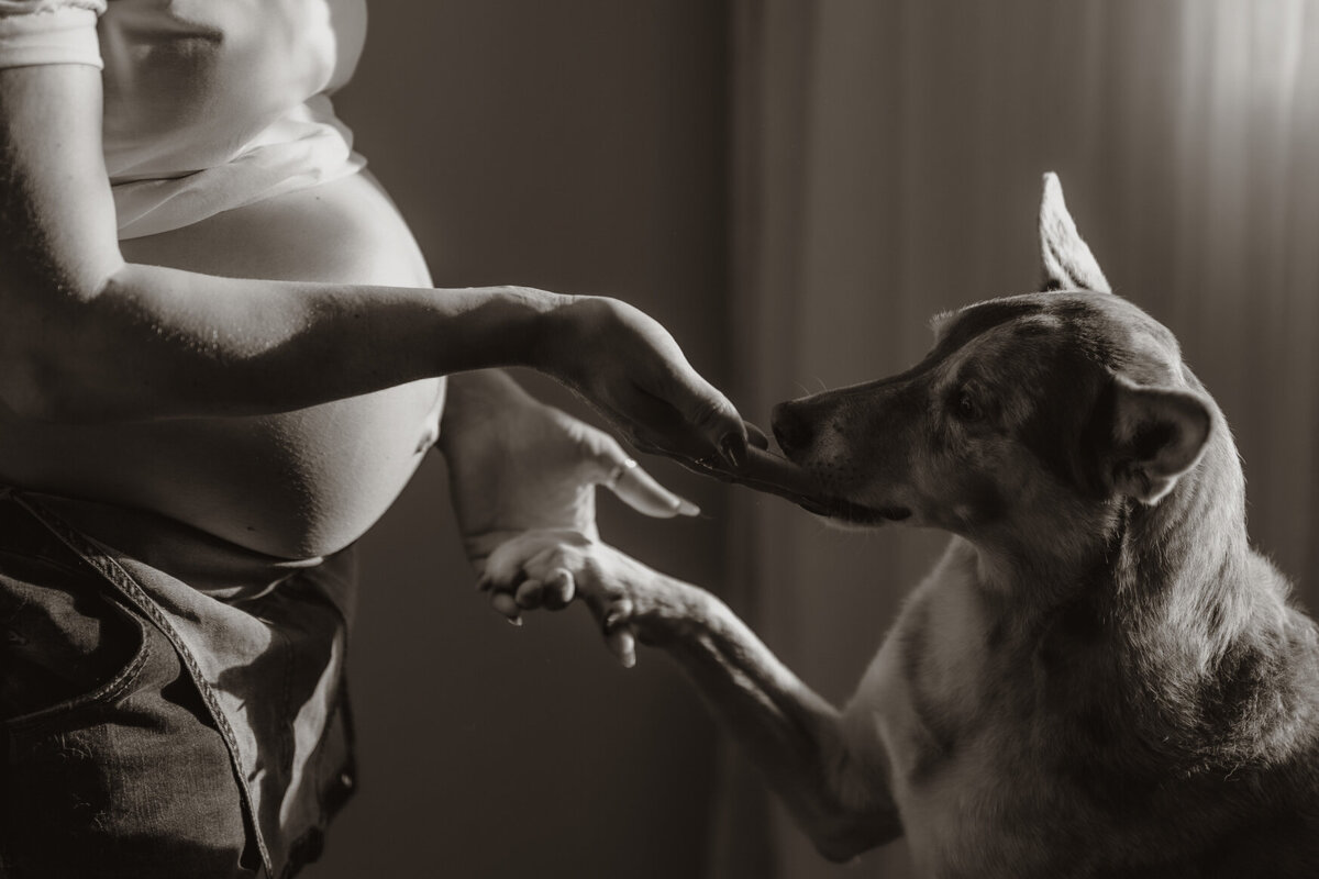 the-lifestyle-phodographer-perth-family-pet-photographer-maternity-newborn00024