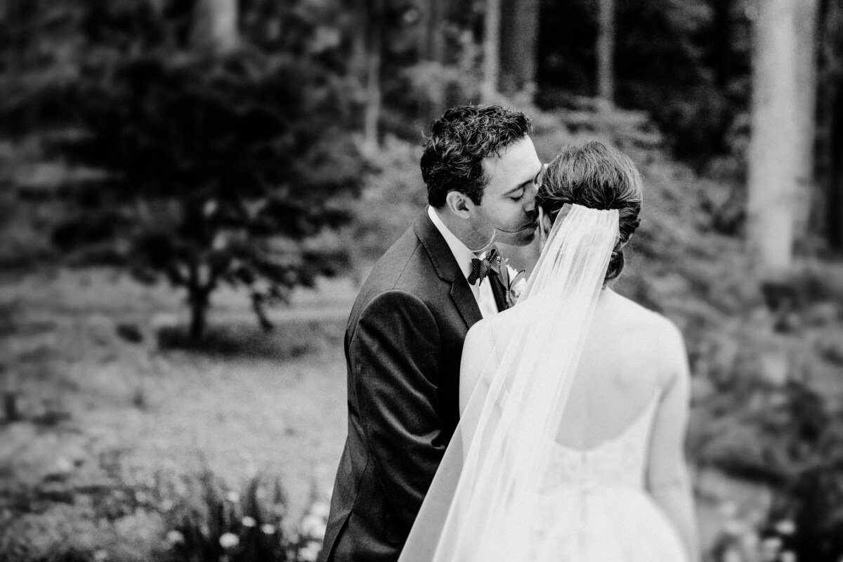 Finger Lakes Rochester Wedding Photographer-3