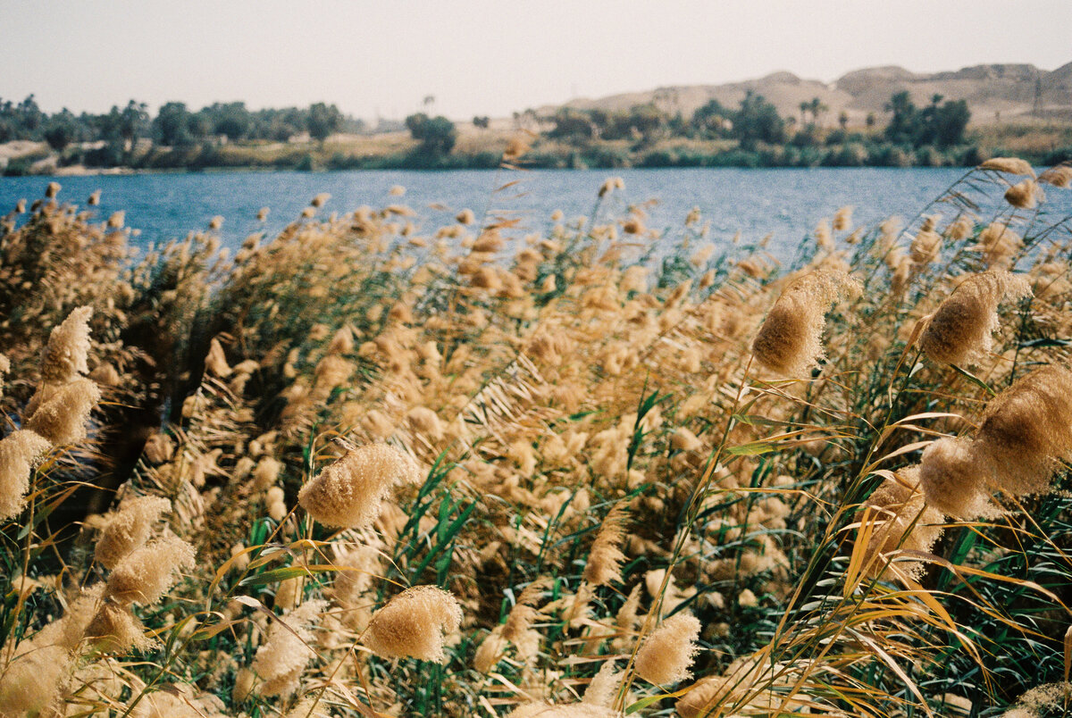 egypt-travel-081