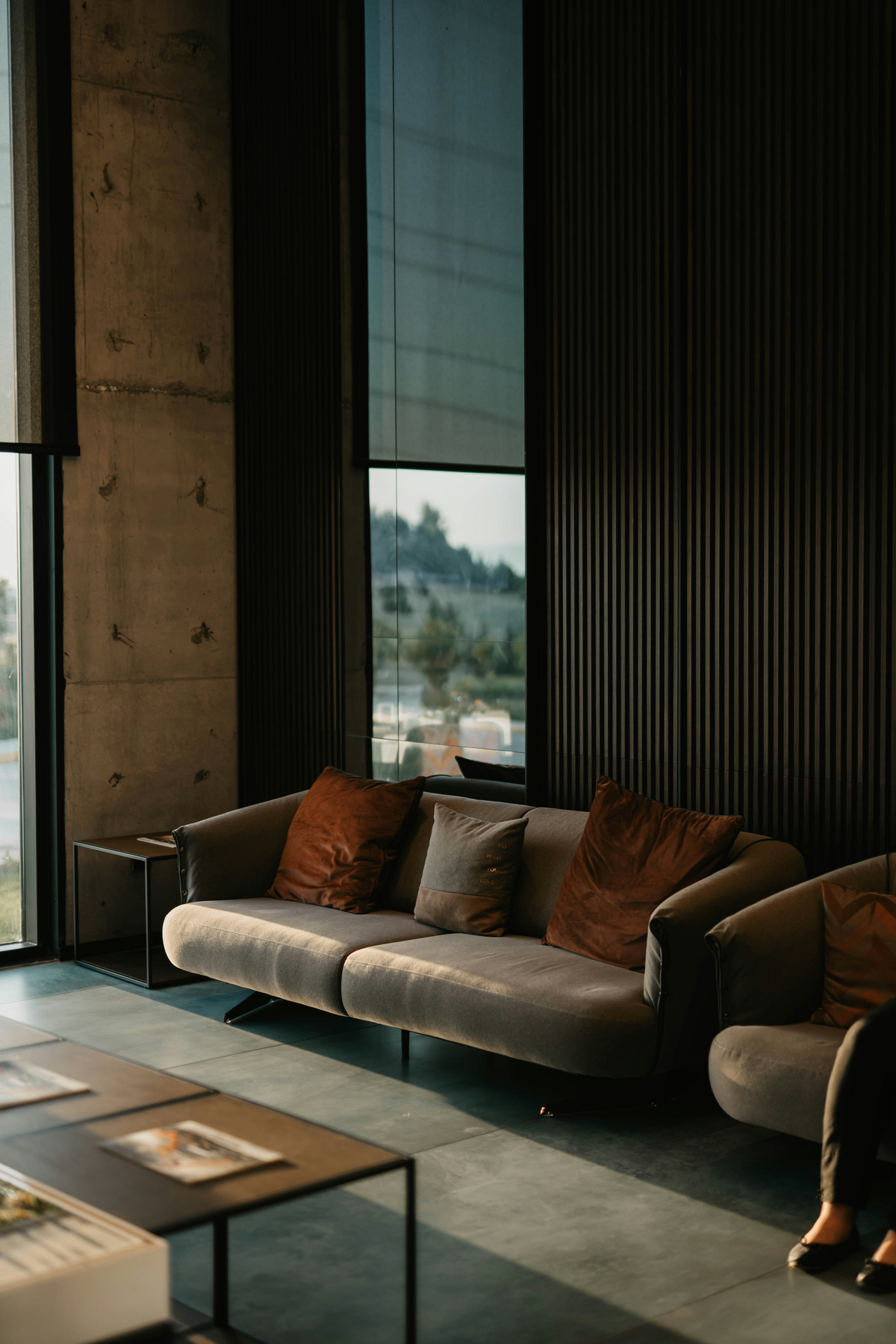Modern moody living room with velvet couch and dark red pillows