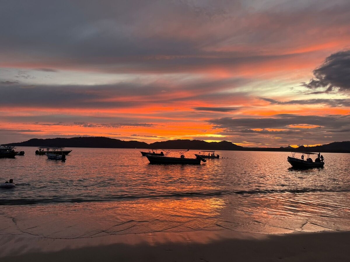 f89d2db6-f019-4475-92aa-d8dea4af2d84