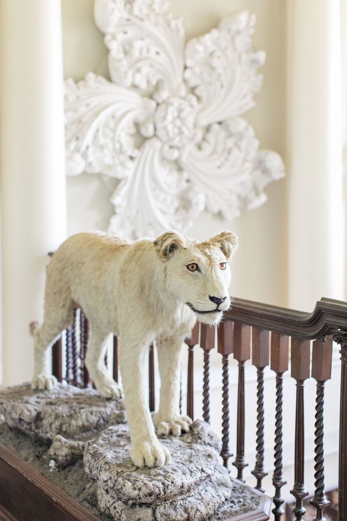 aynhoe-park-wedding-photographer-roberta-facchini-13