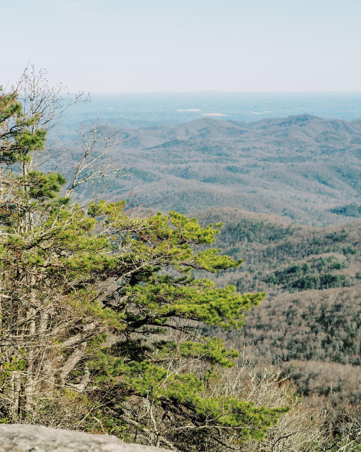 The Fourniers | Grandfather Mountain Engagement-2