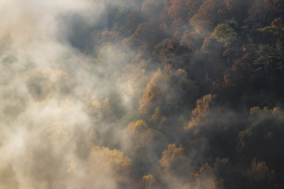 2022.10-Nature-TN-Smoky-Mountains-NP--Chrissy-Donadi-Landscape-Photography-Clear-Autumn-Fog-Fall-Trees