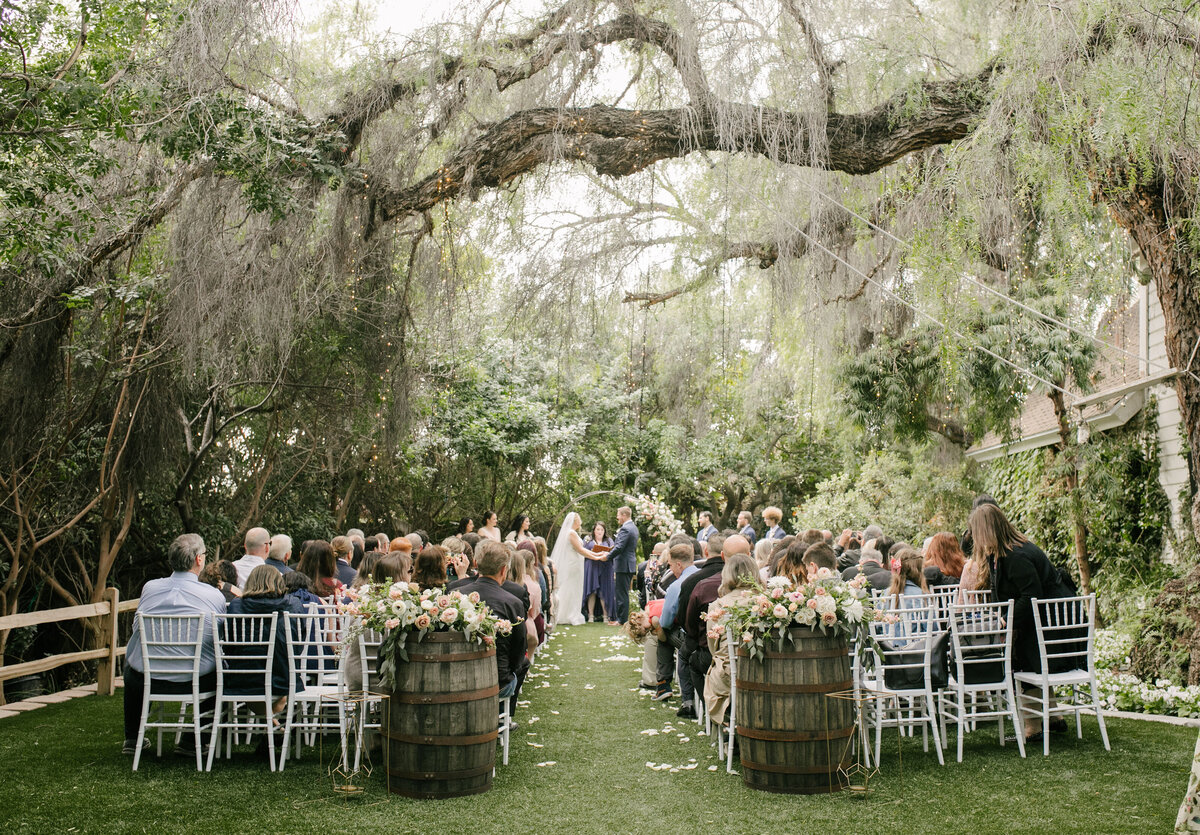 outdoor wedding beneath a large willow treee