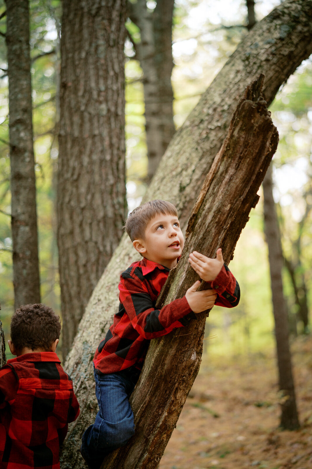 Grand Rapids Family Photographer-393