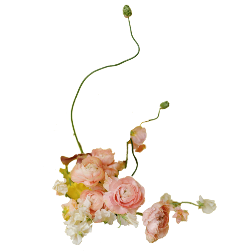 Flowers | Amphora Edu