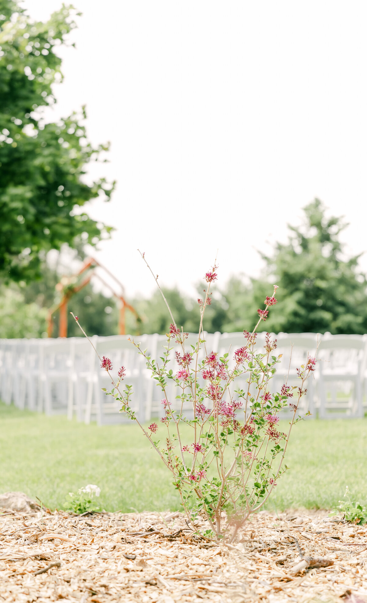 Sarah and Spencer-169