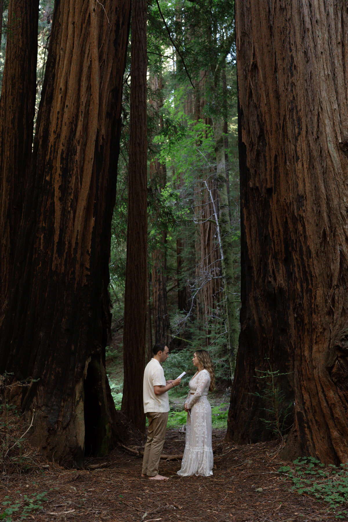 Redwoods-Elopement-39