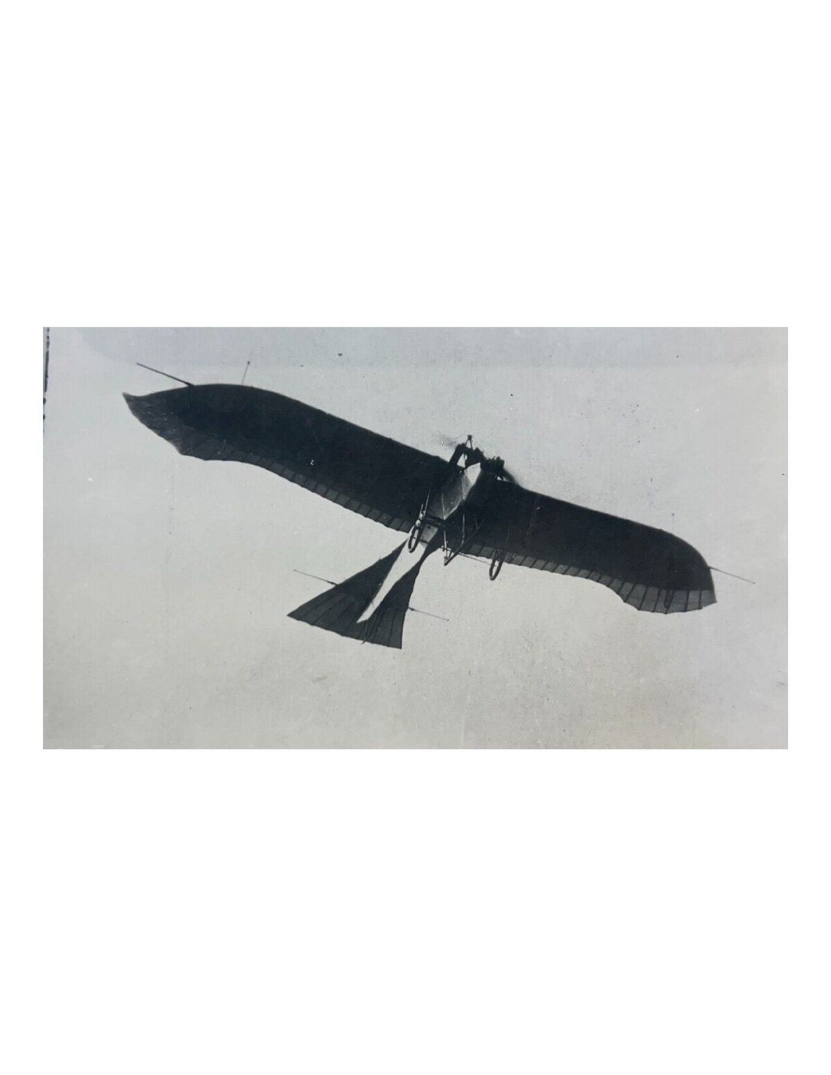 Rumpled Taube 1912_page-0001
