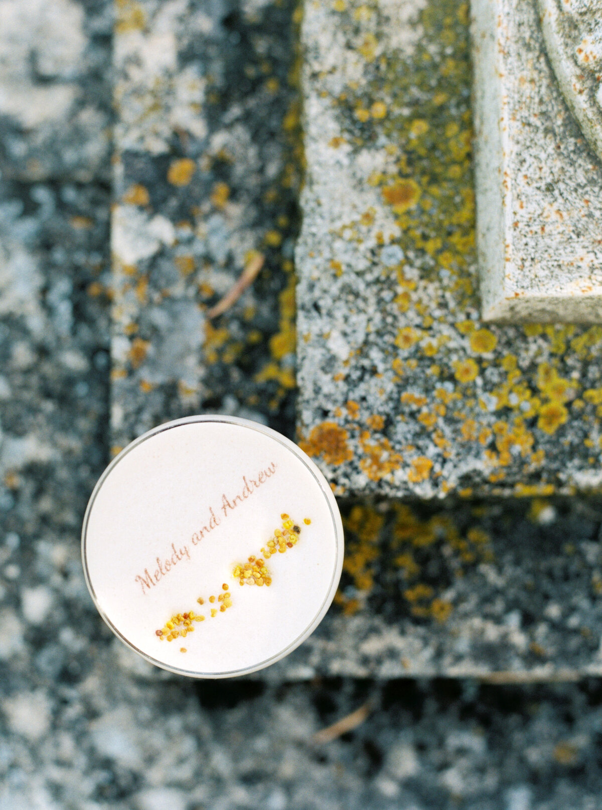 Wedding photography at Chateau Martinay in Provence, France - 5