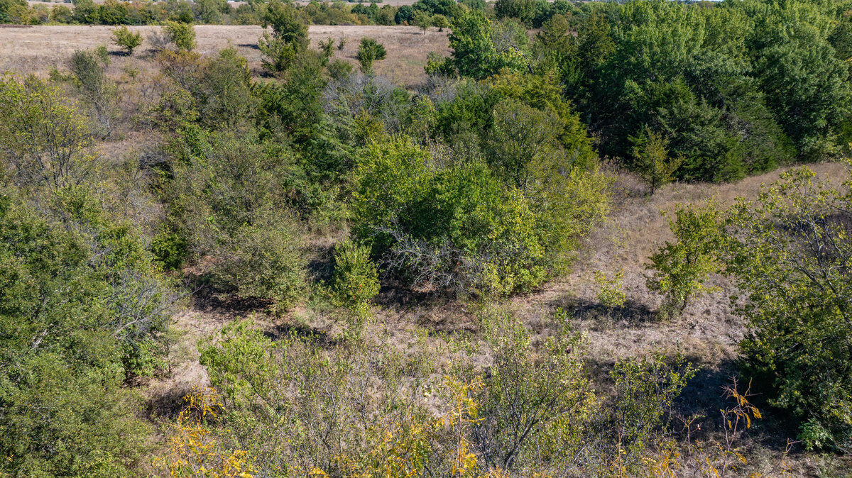 DJI_20251021142904_0113_D