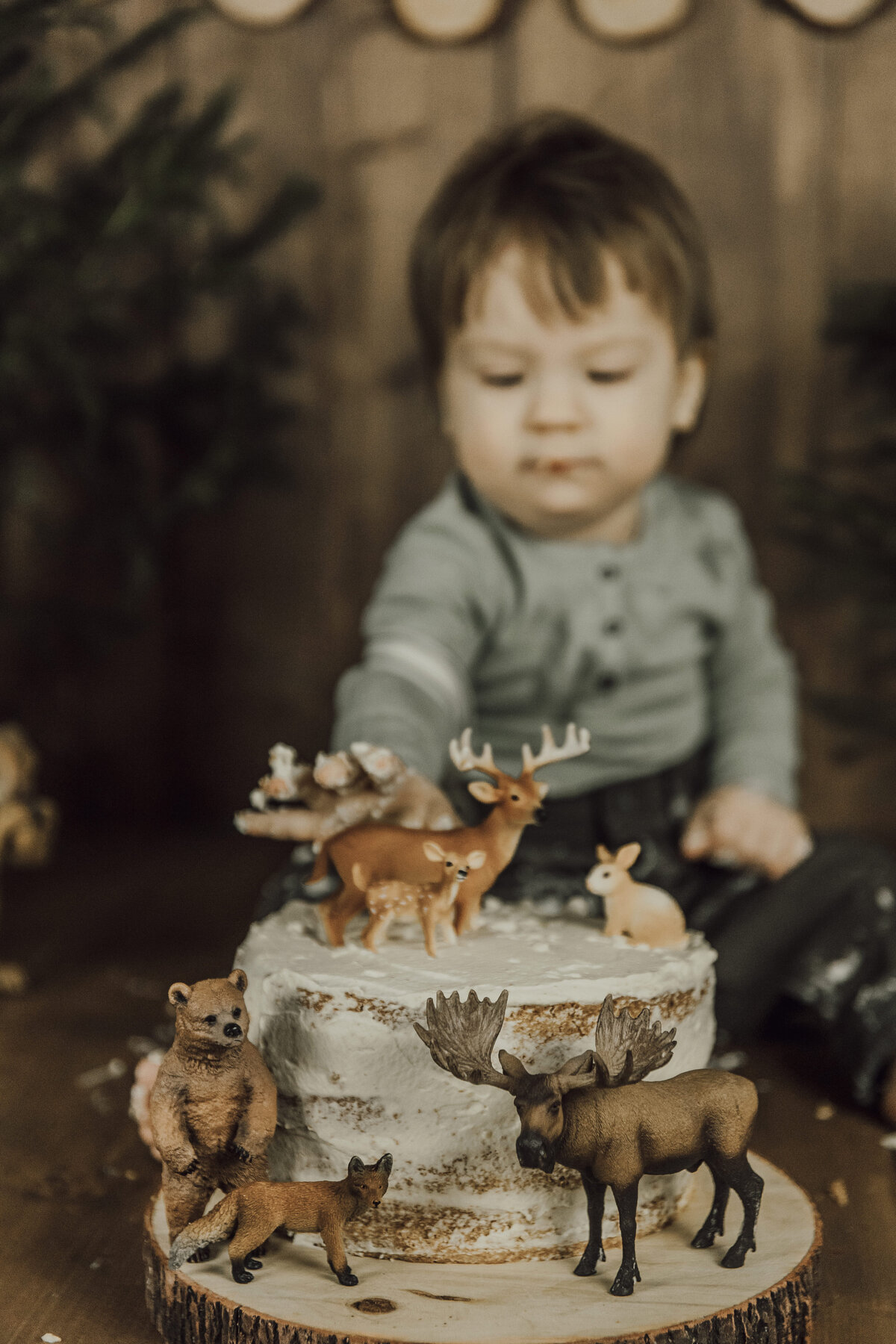 smashthecake-ljusdal7