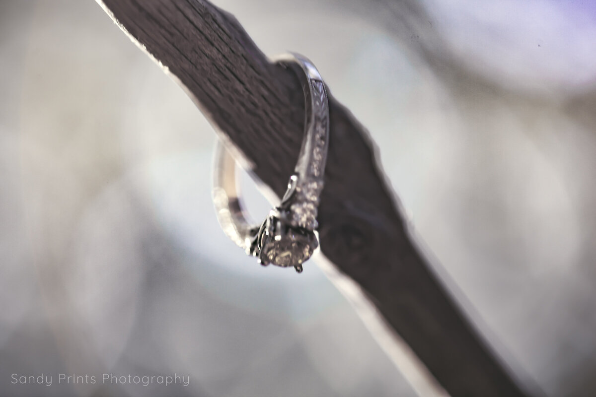20181021-2018_10-Laura &  Javin Engagement Session 5088-Edit