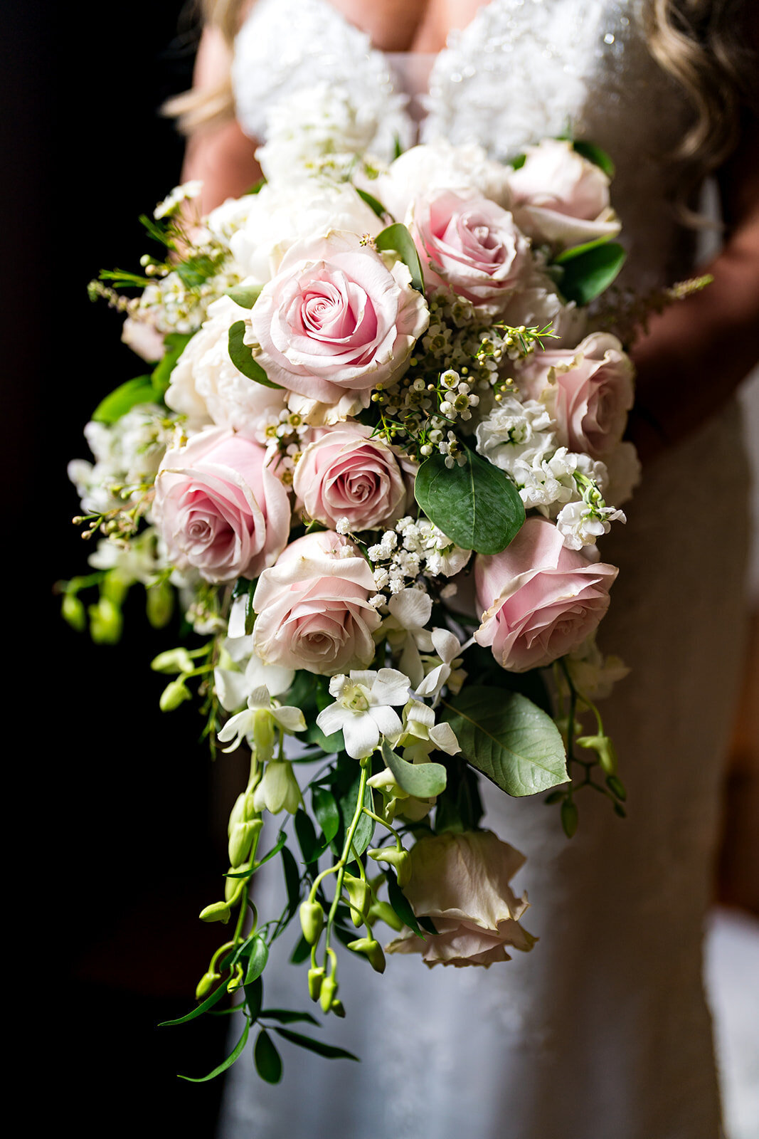 Claire + Rustam_s Preview-4