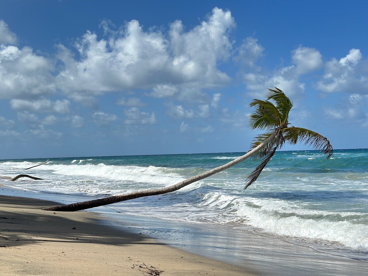 grenada3