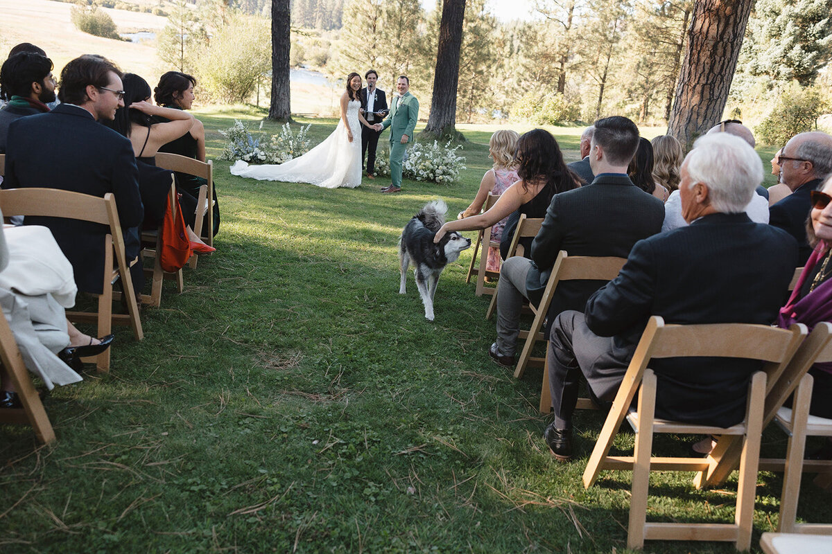 andrew-tiffany-ceremony-olive-and-oath29