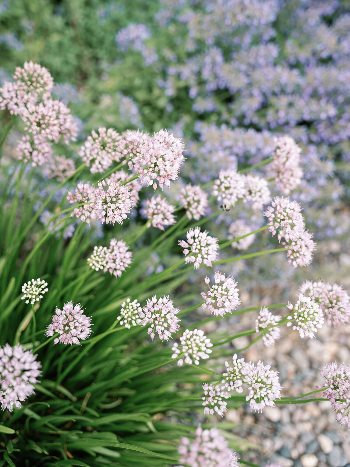 DSC00361