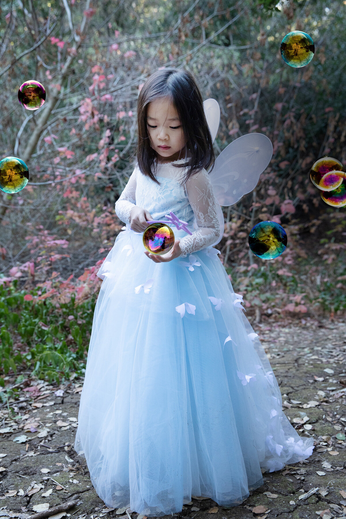 7J8A0068fairy