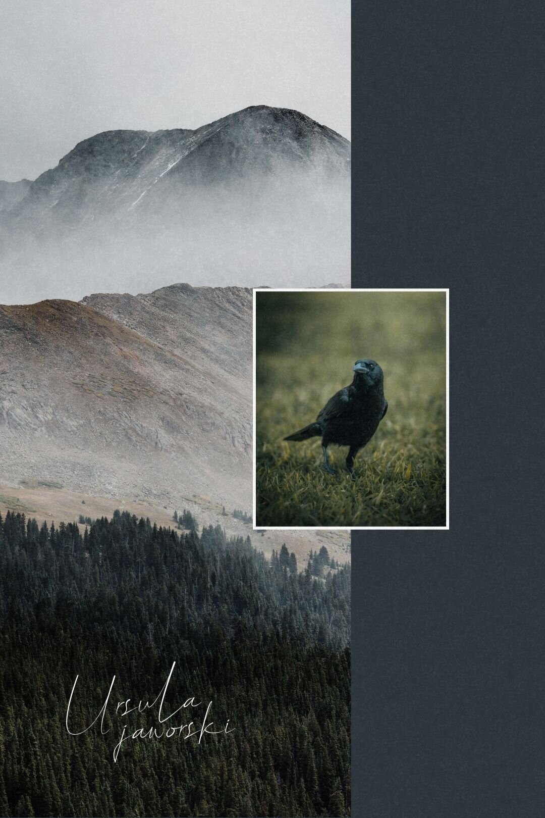 portfolio-bewildstudio-VAT8